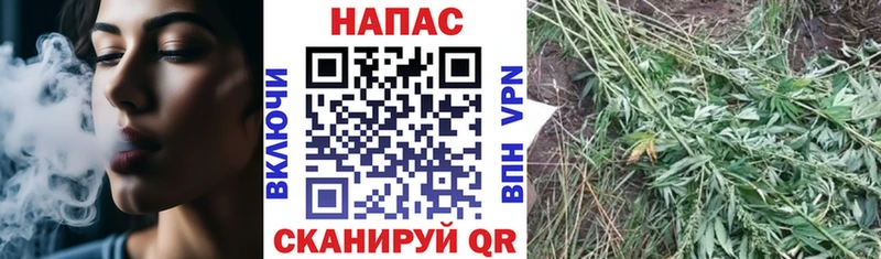 Бошки Шишки MAZAR  Гусиноозёрск 